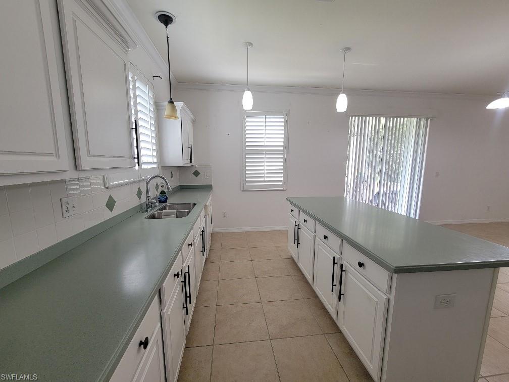 18167 Horizon View Blvd Property Photo 29