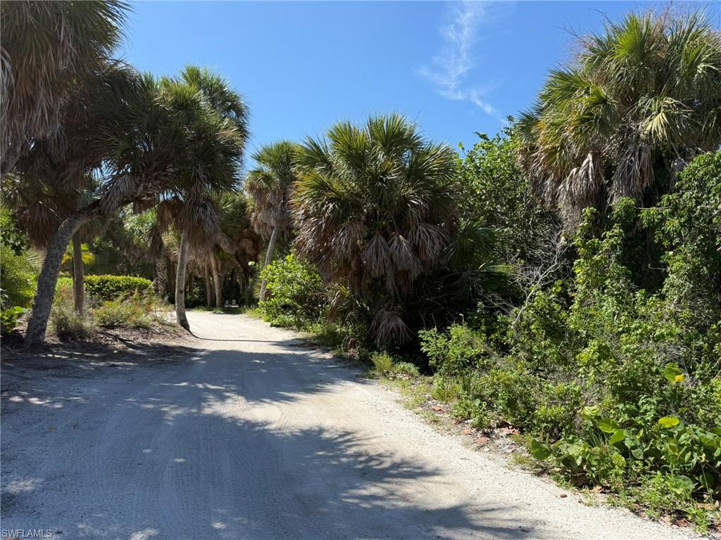 4486 Hammock Ct Property Photo 23