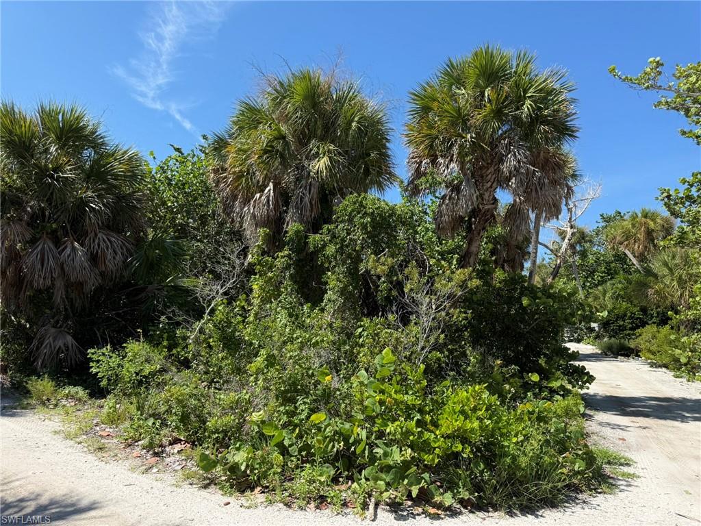 4486 Hammock Ct Property Photo 26