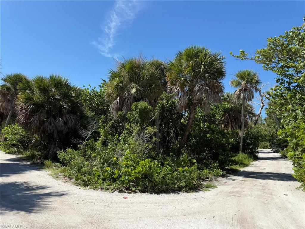 4486 Hammock Ct Property Photo 27
