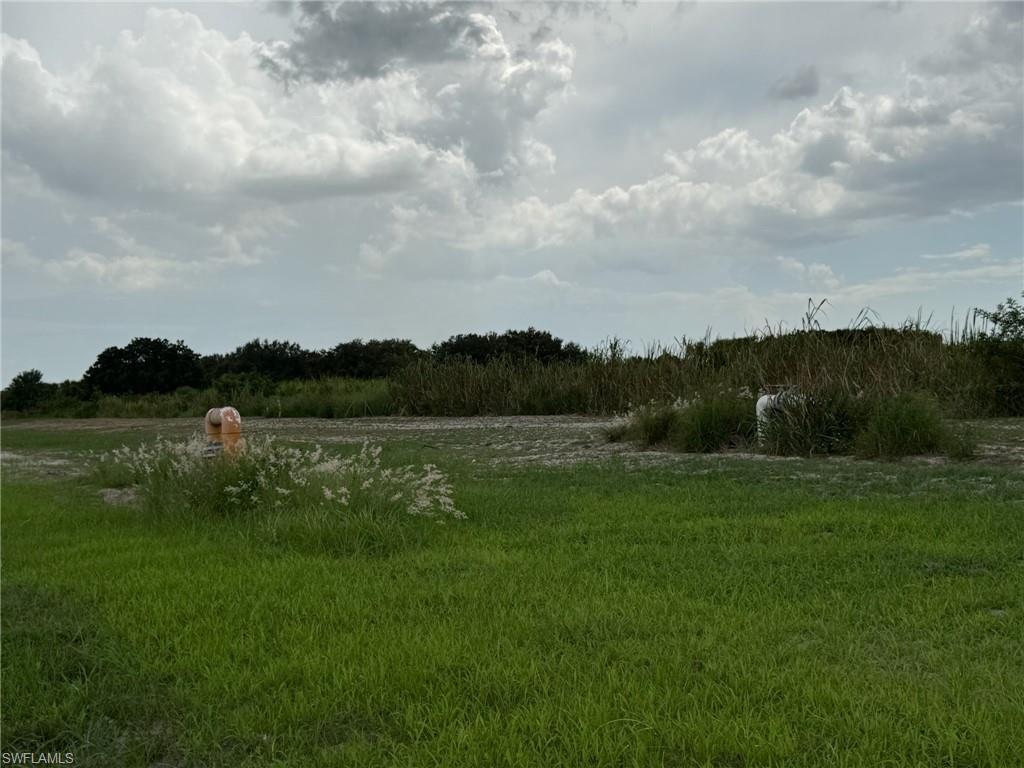 4495 1st Rd Property Photo 8