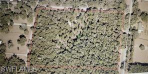 Brightway Property Photo 8
