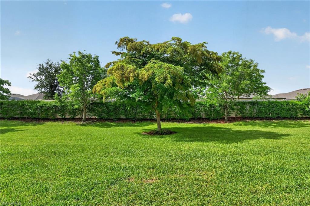 3329 Apple Blossom Dr Property Photo 38