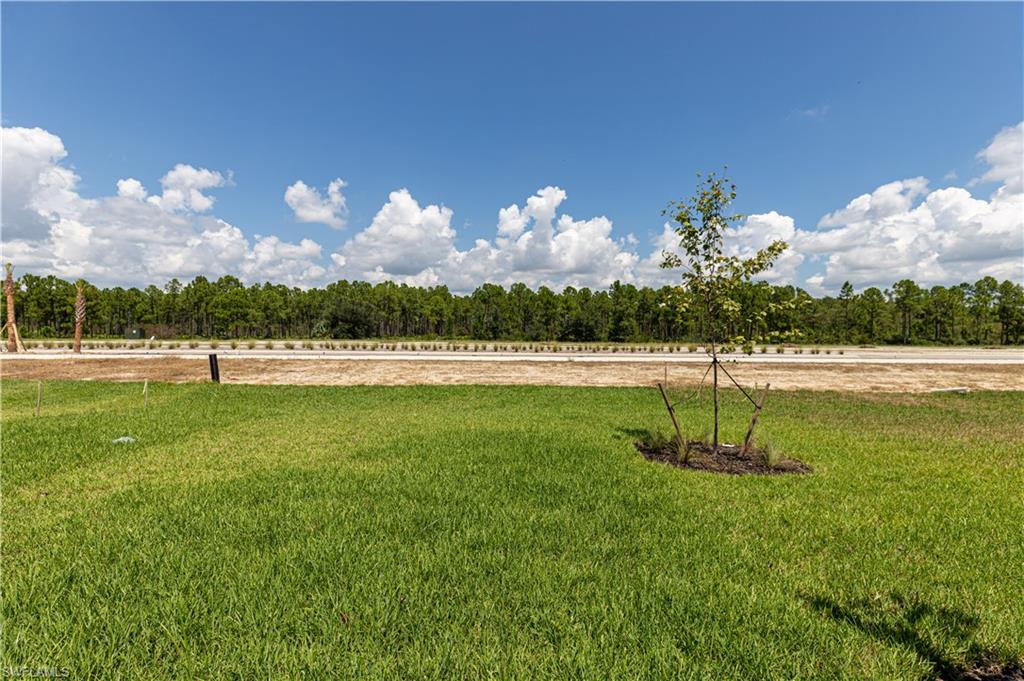 45126 Pipevine Cir Property Photo 4