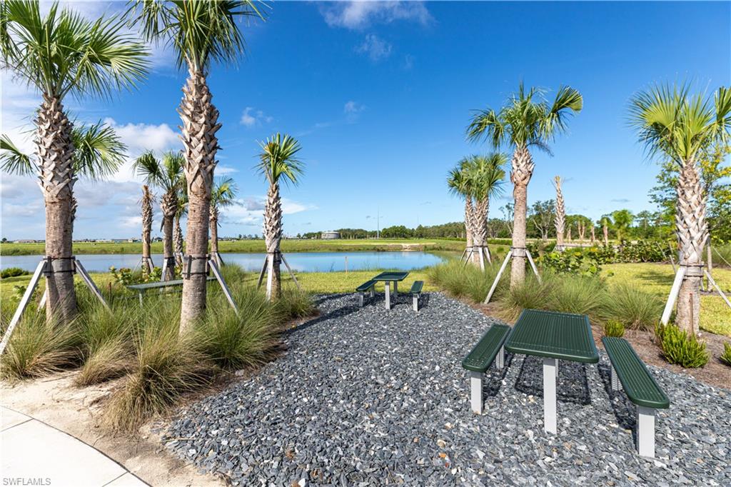 45126 Pipevine Cir Property Photo 30