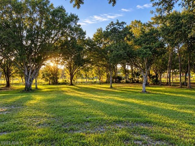 1777 Pollywog Crossover Rd Property Photo 5