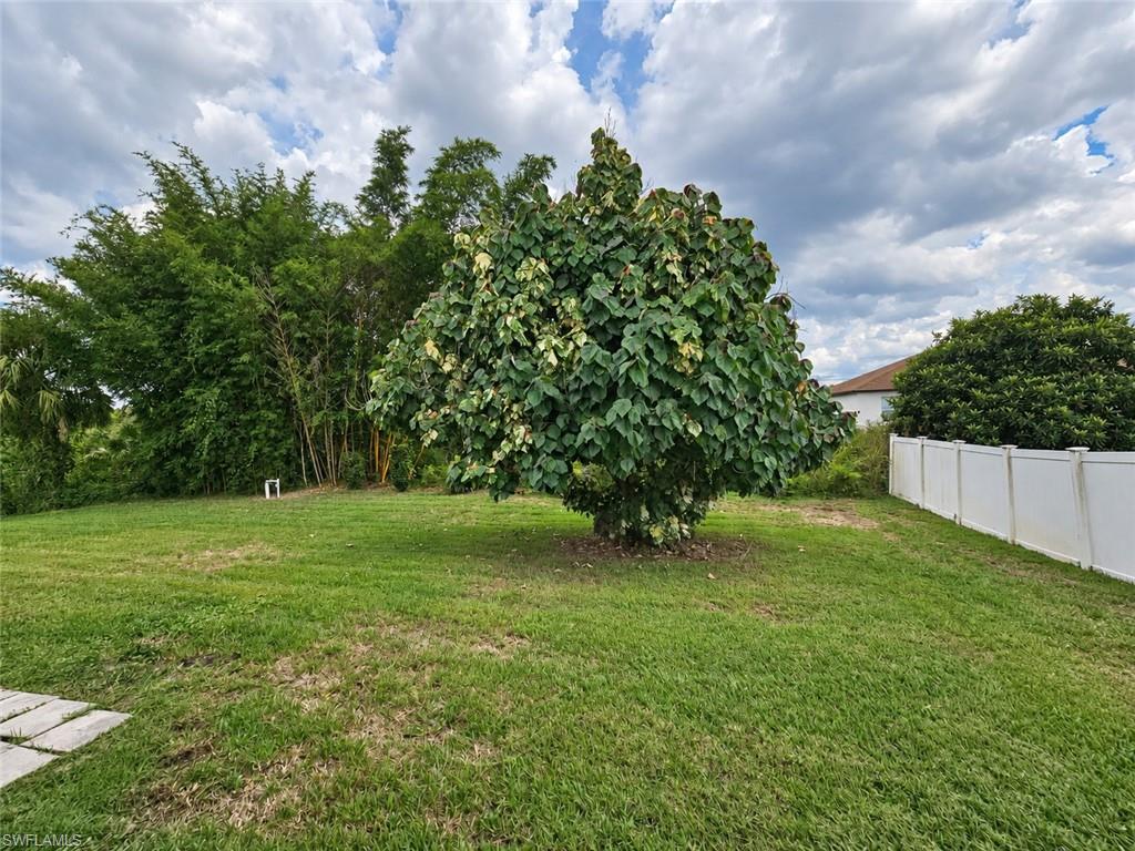 319 Labree Ave S Property Photo 26
