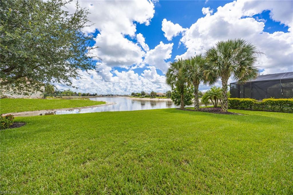 4456 Magellan St Property Photo 33
