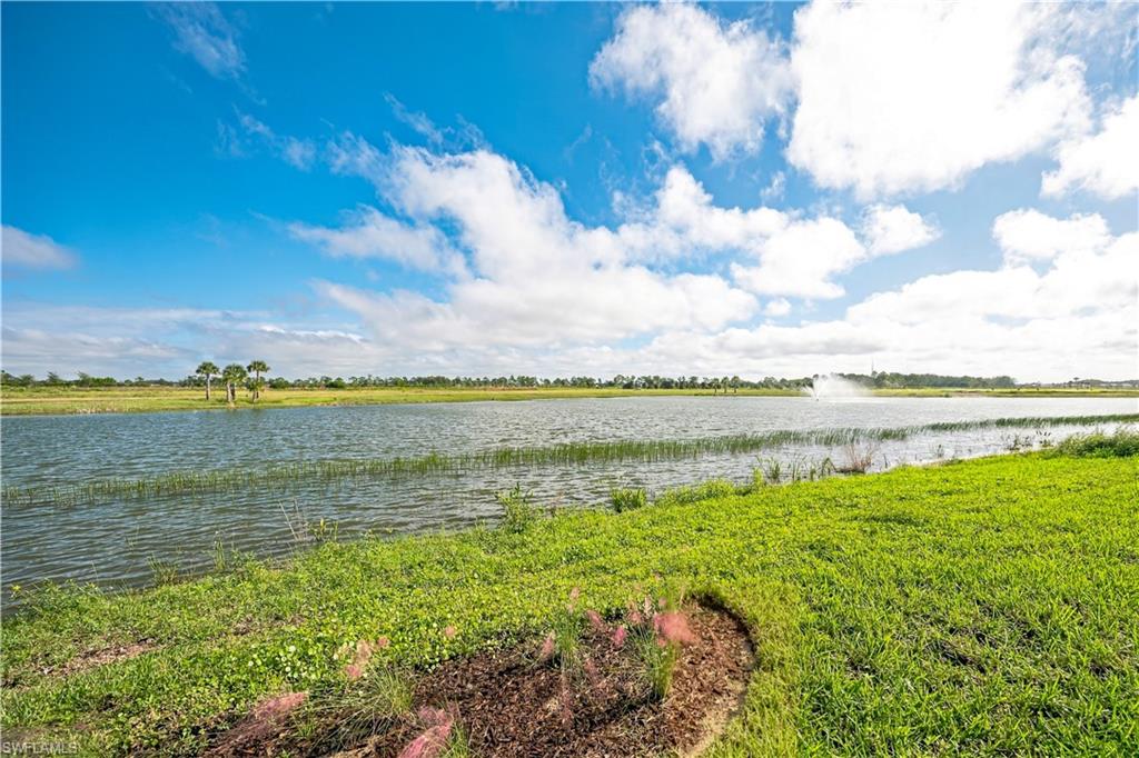44602 Little Blue Heron Way Property Photo 10