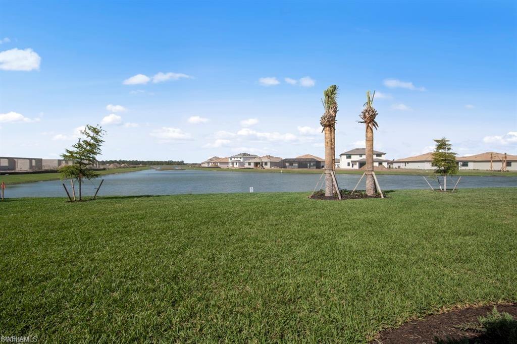 20446 Napa Loop Property Photo 33