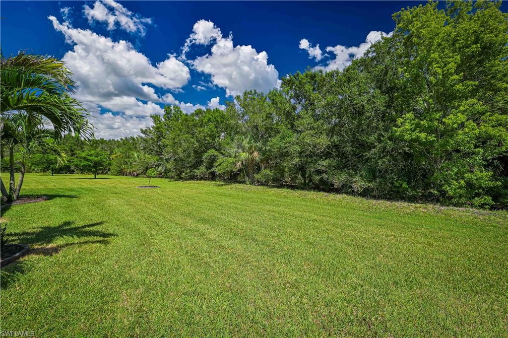 15136 Yellow Wood Dr Property Photo 11
