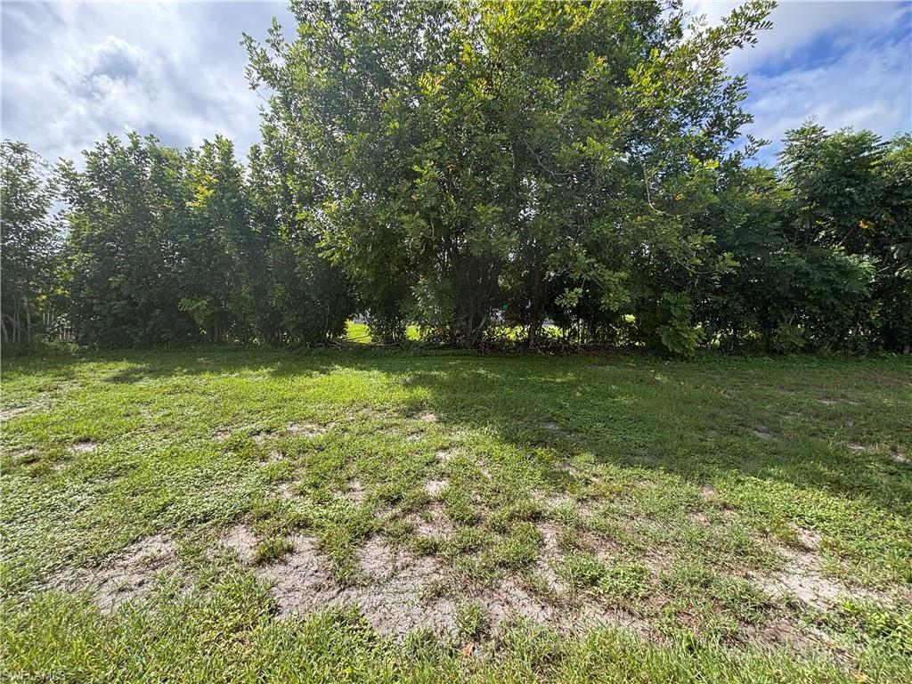 138 Brookside St Property Photo 19