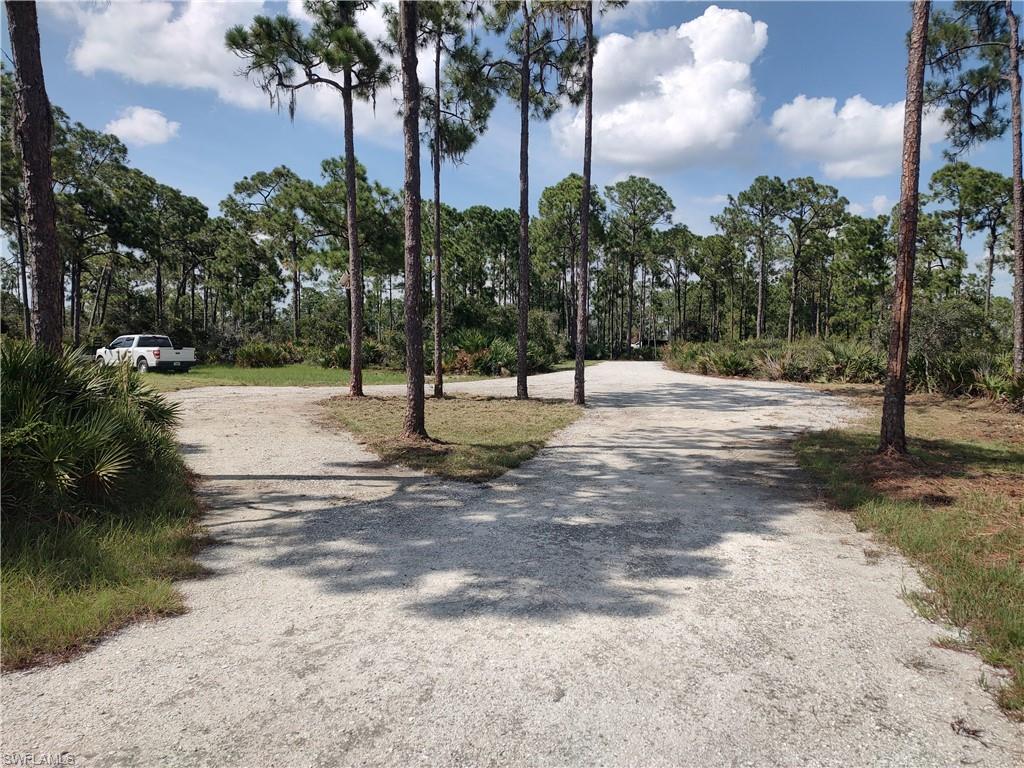 10 Henry Dr Property Photo 3