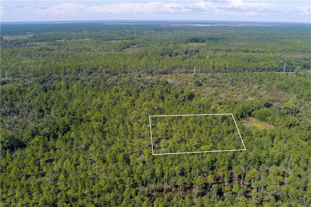 48559-39219 Gandy Rd Property Photo 2