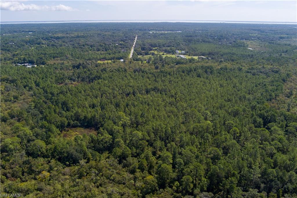 48559-39219 Gandy Rd Property Photo 3