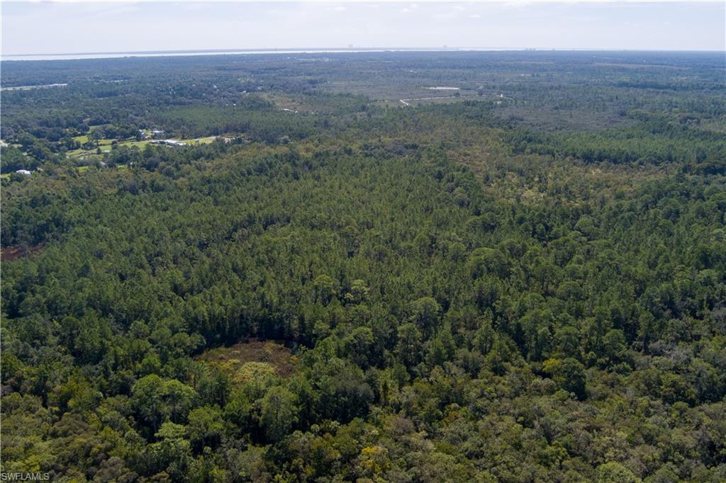 48559-39219 Gandy Rd Property Photo 8