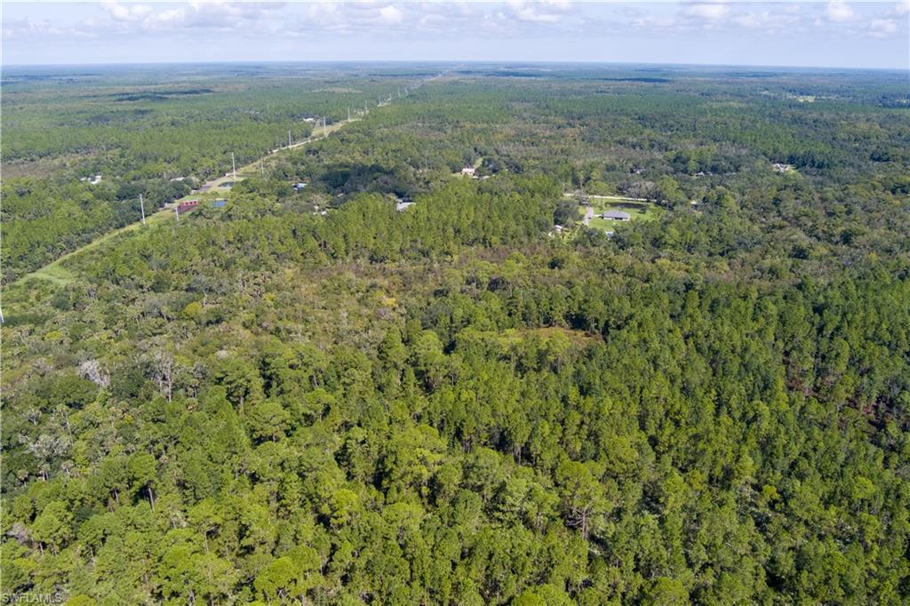48559-39219 Gandy Rd Property Photo 13