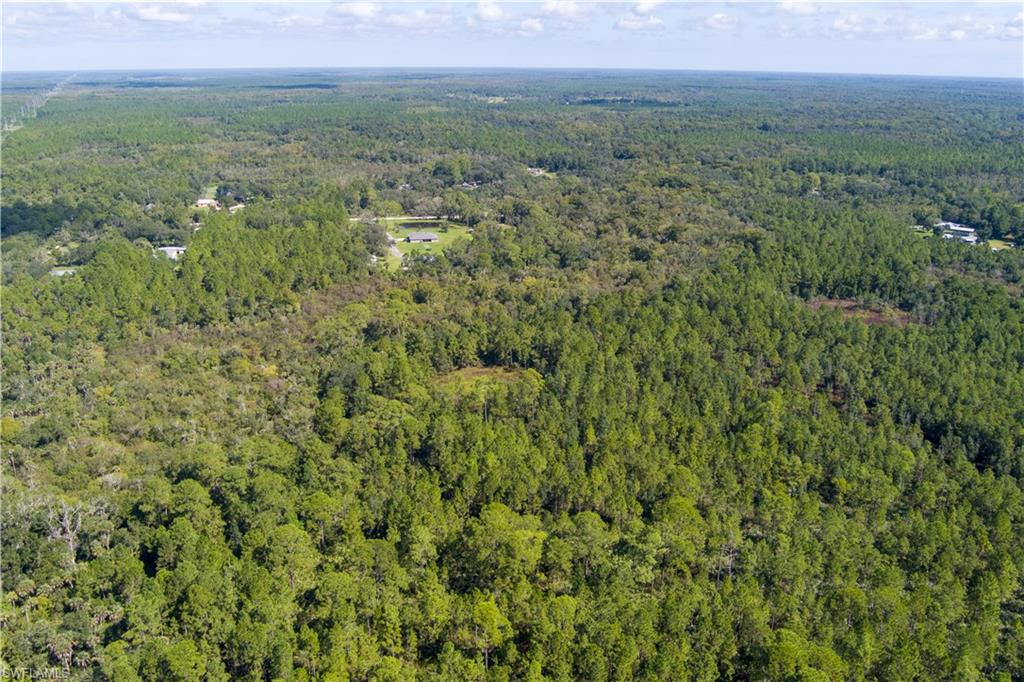 48559-39219 Gandy Rd Property Photo 14