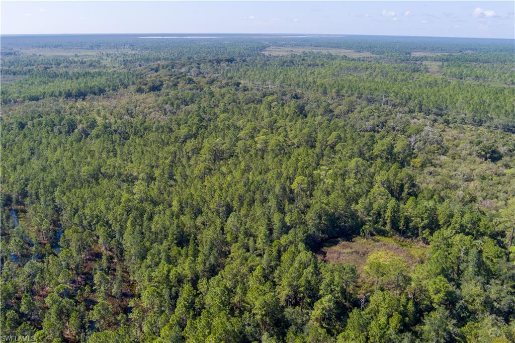 48559-39219 Gandy Rd Property Photo 22