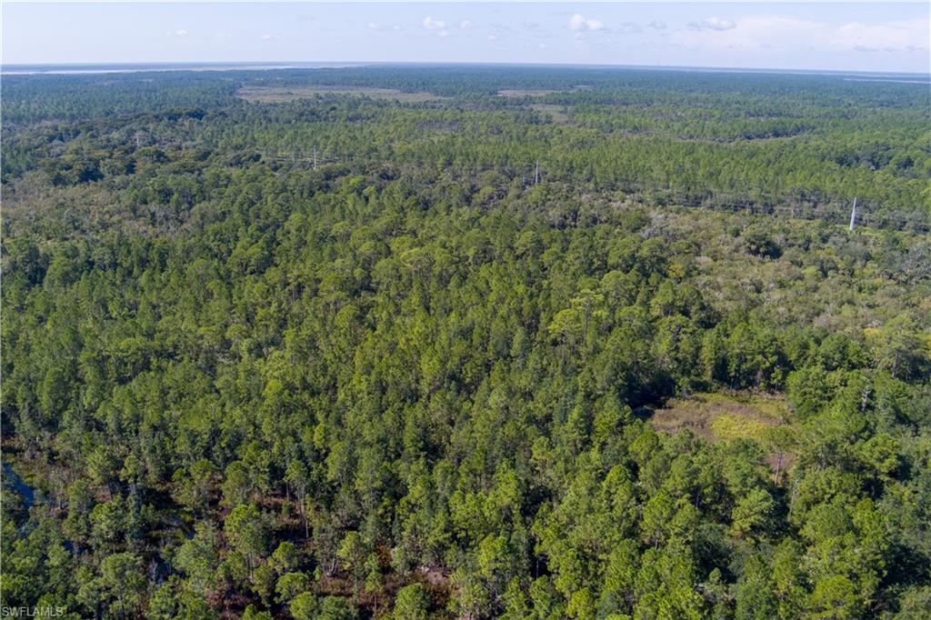 48559-39219 Gandy Rd Property Photo 23