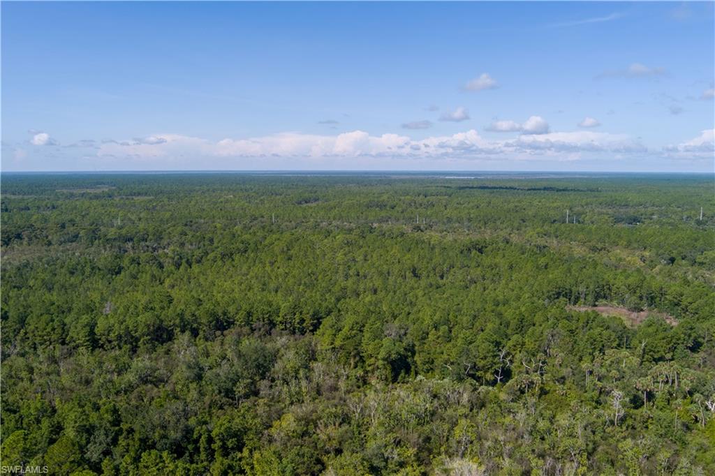 48559-39219 Gandy Rd Property Photo 26