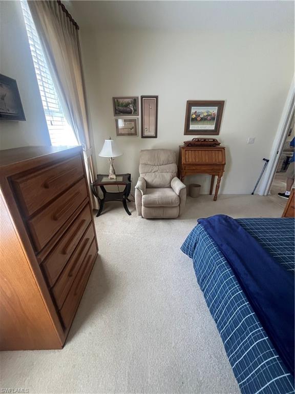 3821 Ponytail Palm Ct Property Photo 64