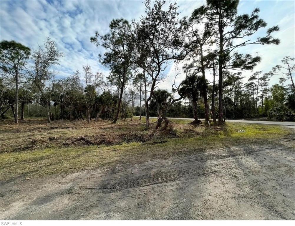 27051 Suede Dr Property Photo 2