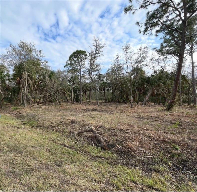 27051 Suede Dr Property Photo 3