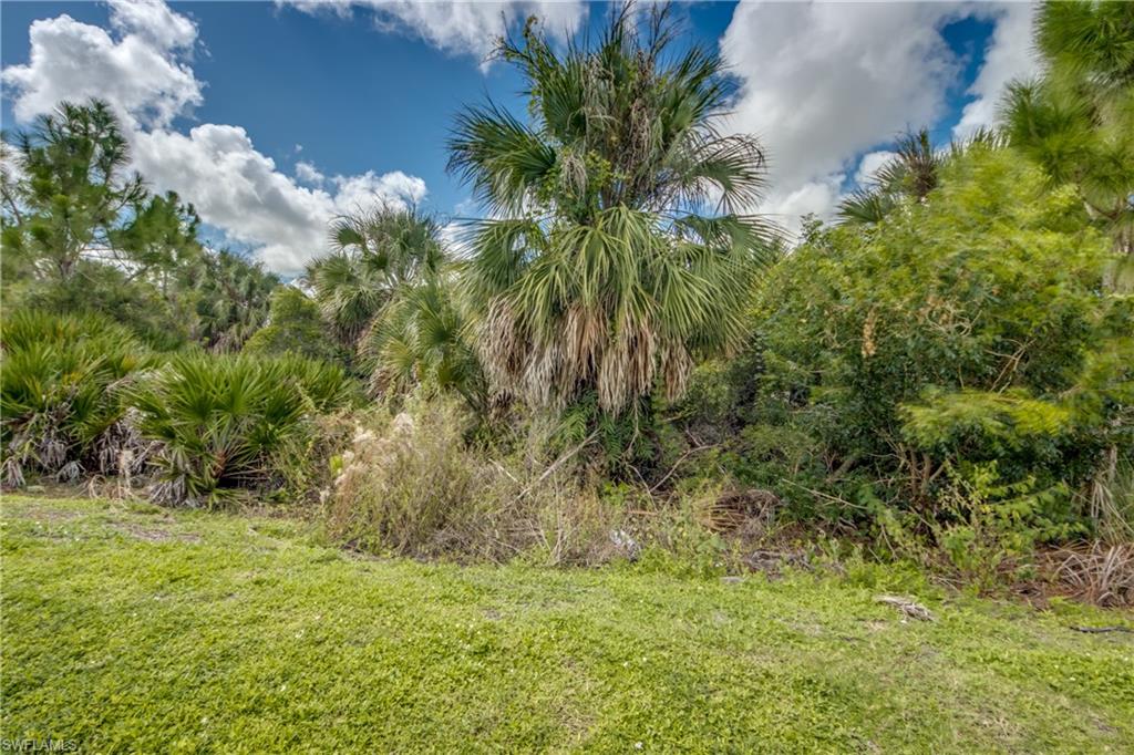 3162 Estancia Ln Property Photo 38