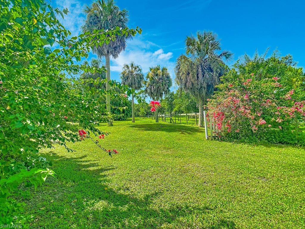 1409 Lavilla Rd Property Photo 64