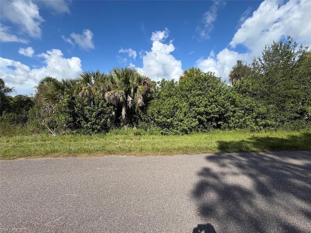 1339 Patton St Property Photo 4