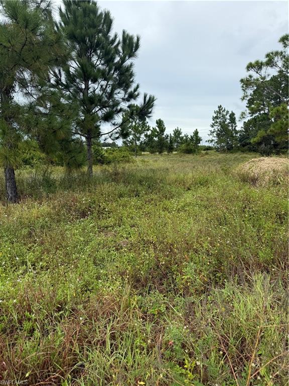 7582 15th Pl Property Photo 2