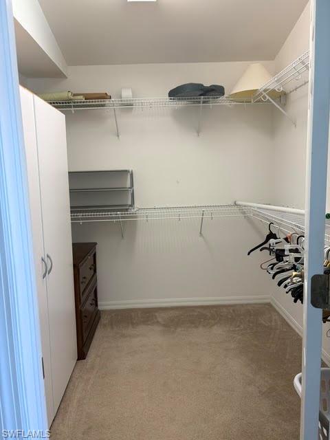 13317 Queen Palm Run Property Photo 14