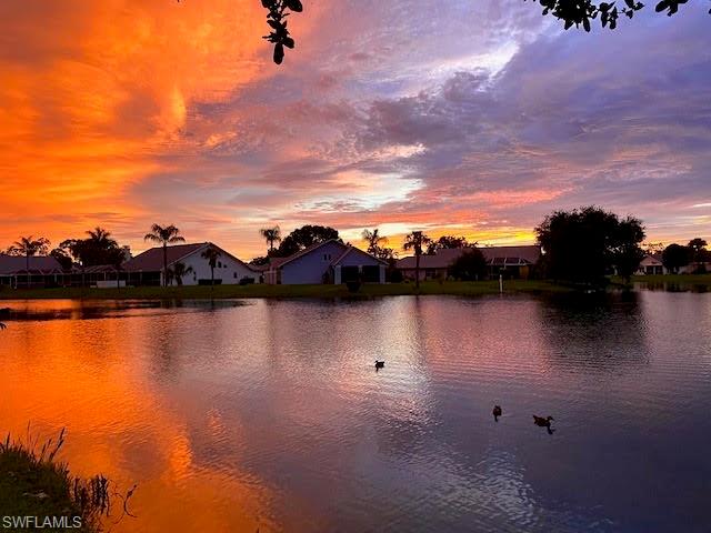 13317 Queen Palm Run Property Photo 32