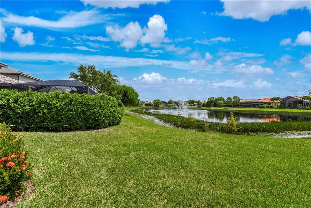 10505 Valencia Lakes Dr Property Photo 44
