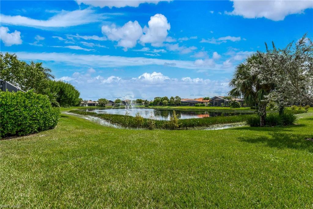 10505 Valencia Lakes Dr Property Photo 45