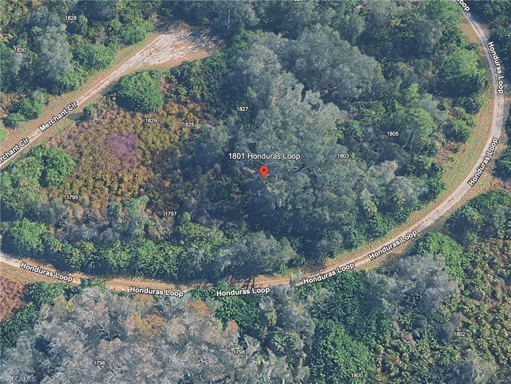 1801 Honduras Loop Property Photo 3