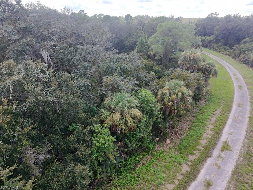 1801 Honduras Loop Property Photo 4