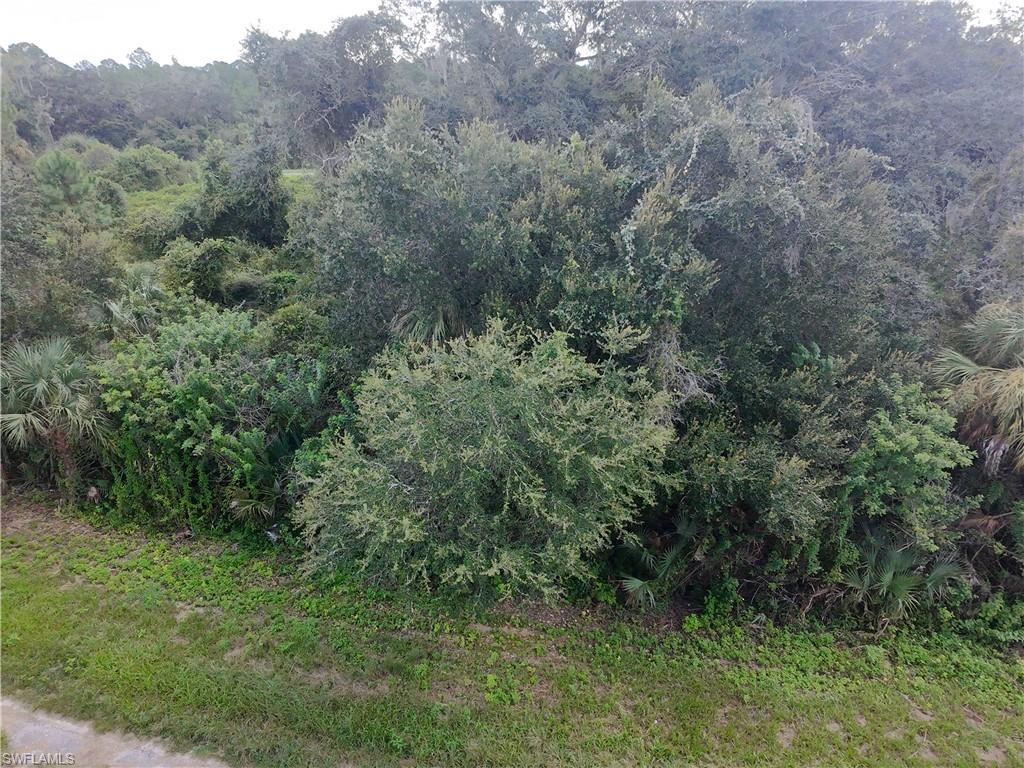 1801 Honduras Loop Property Photo 5