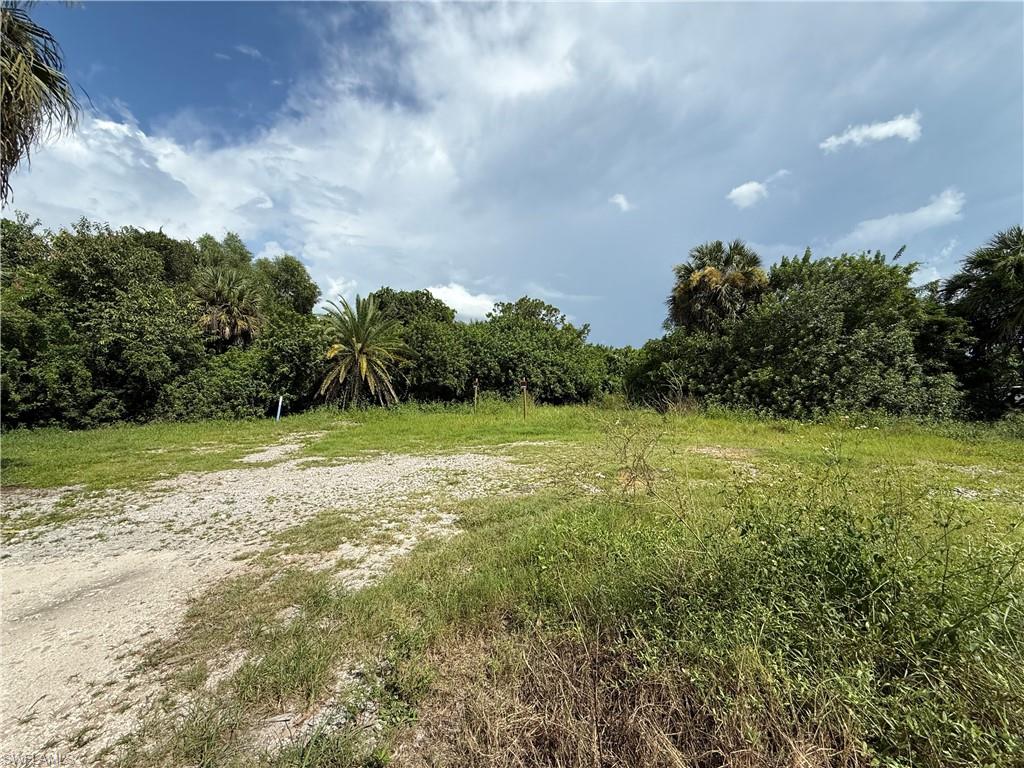 12096 Carpenter Ln Property Photo 2