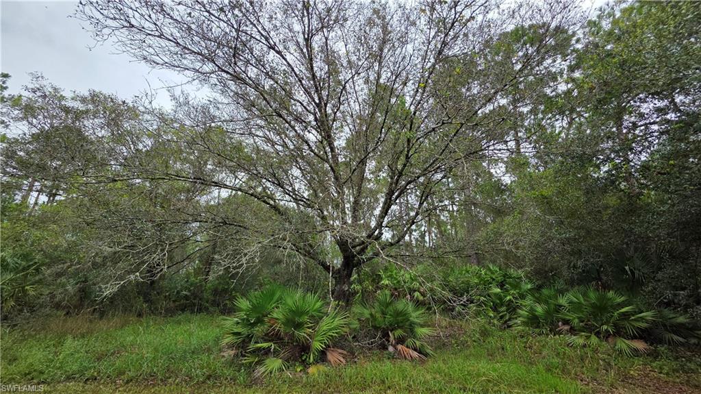 211 J4 Ranch Rd Property Photo 29