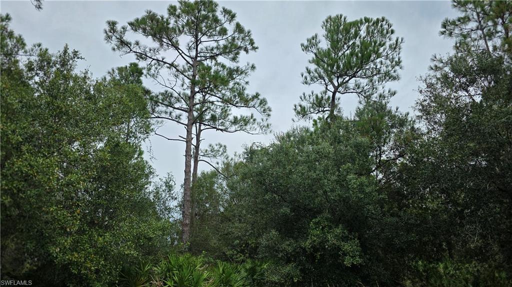 211 J4 Ranch Rd Property Photo 36