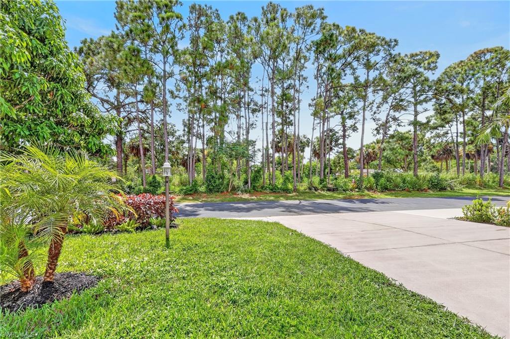 11180 La Coruna Ln Property Photo 39