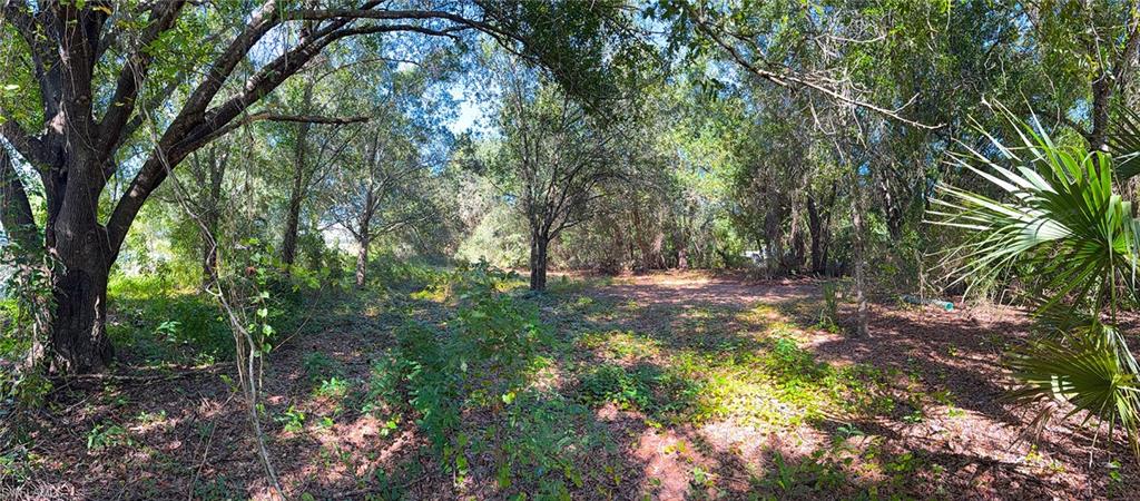 2305 Triton Ter Property Photo 1