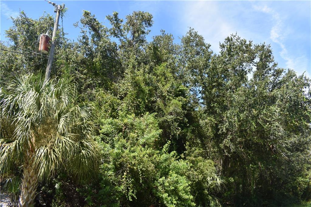 2305 Triton Ter Property Photo 4