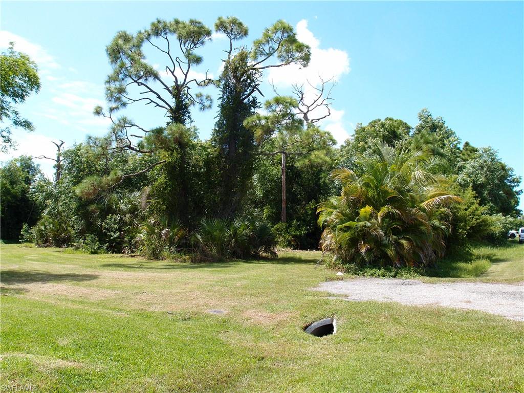 3615 Papaya St Property Photo 2