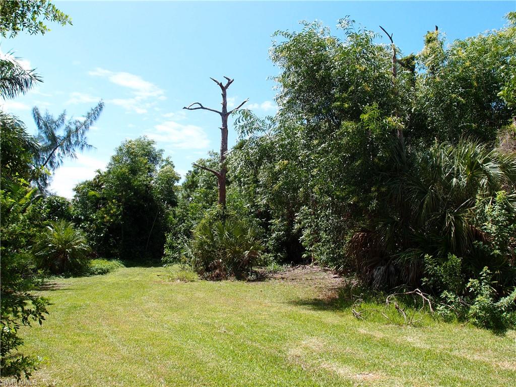 3615 Papaya St Property Photo 3