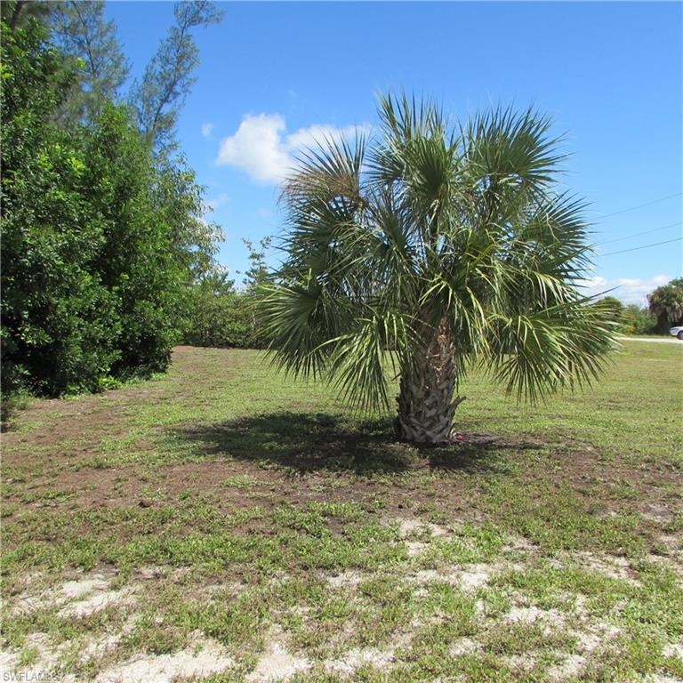 3582 Stabile Rd Property Photo 8