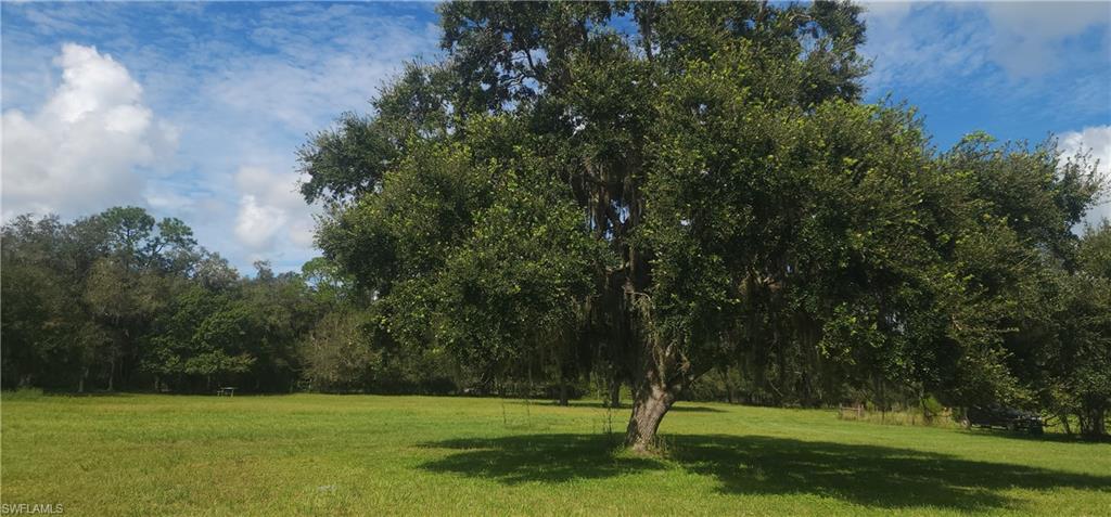4634 Loblolly Bay Rd Property Photo 6