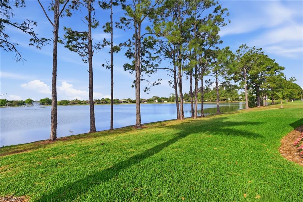 13803 Golden Palms Cir Property Photo 29